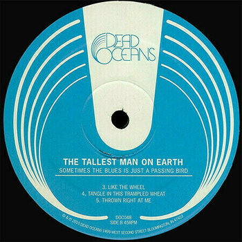 Vinyl Record The Tallest Man On Earth - Sometimes the Blues Is Just a Passing Bird (LP) - 3