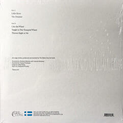 LP ploča The Tallest Man On Earth - Sometimes The Blues Is Just A Passing Bird (LP) - 3