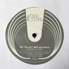 LP platňa The Tallest Man On Earth - Dark Bird Is Home (LP) - 1