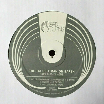 Hanglemez The Tallest Man On Earth - Dark Bird Is Home (LP) - 2