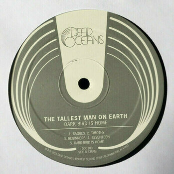 Hanglemez The Tallest Man On Earth - Dark Bird Is Home (LP) - 3