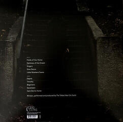 LP platňa The Tallest Man On Earth - Dark Bird Is Home (LP) - 3