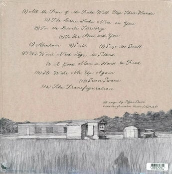 Disque vinyle Sufjan Stevens - Seven Swans (LP) - 2
