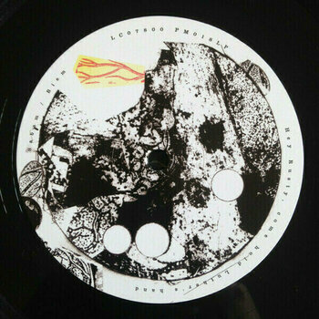 Hanglemez Pixies - Head Carrier (LP) - 2