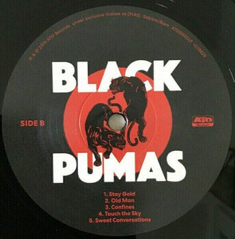 Vinyl Record Black Pumas - Black Pumas (LP) - 3