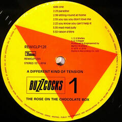 LP platňa Buzzcocks - A Different Kinf Of Tension (LP) - 1