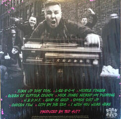 LP ploča Dropkick Murphys - Turn Up That Dial (LP) - 3