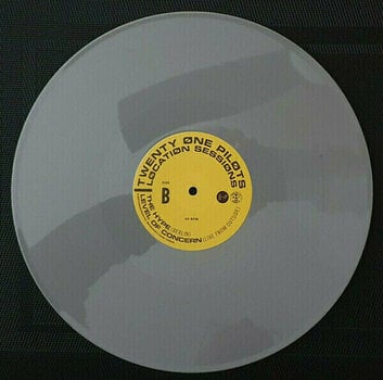 Vinyylilevy Twenty One Pilots - Location Sessions (Grey Vinyl) (LP) - 3