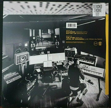 Płyta winylowa Twenty One Pilots - Location Sessions (Grey Vinyl) (LP) - 4