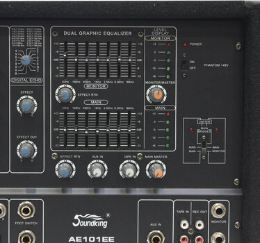 Power mengpaneel Soundking AE 101 EE - 5