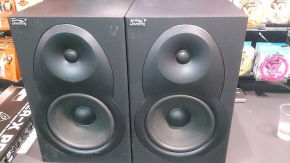2-utas stúdió monitorok Soundking MT80A B-Stock - 4