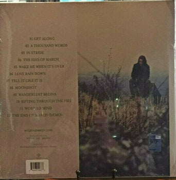 Δίσκος LP Myles Kennedy - The Ideas Of March (Grey Vinyl) (2 LP) - 2