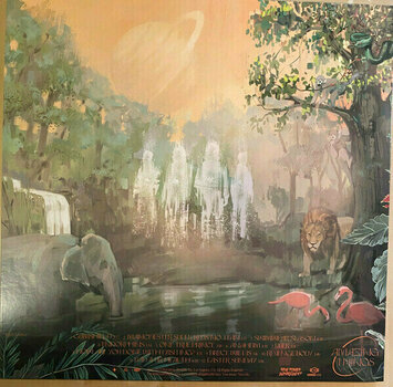 LP platňa Don Broco - Amazing Things (Limited Edition) (LP) - 2