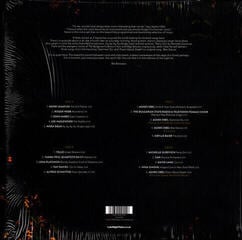 LP ploča Agnes Obel - LateNightTales (2 LP) - 5