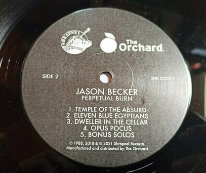 Hanglemez Jason Becker - Perpetual Burn (LP) - 3