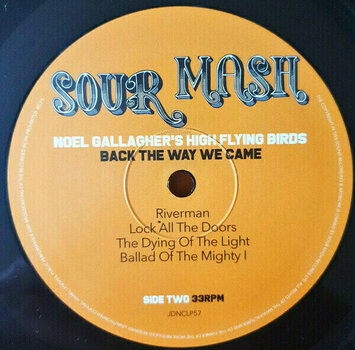 Vinylplade Noel Gallaghers High Flying Birds - Back The Way We Came Vol. 1 (2 LP) - 3