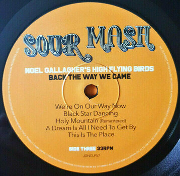 Vinylskiva Noel Gallaghers High Flying Birds - Back The Way We Came Vol. 1 (2 LP) - 4