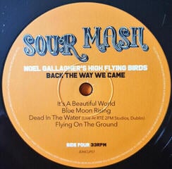 Disc de vinil Noel Gallaghers High Flying Birds - Back The Way We Came Vol. 1 (2 LP) - 4