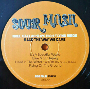 Vinyl Record Noel Gallaghers High Flying Birds - Back The Way We Came Vol. 1 (2 LP) - 5