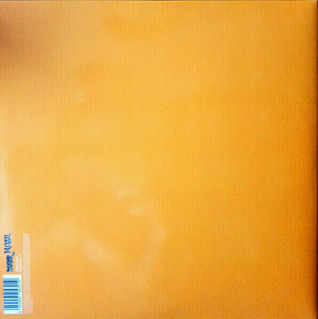 Vinylplade Noel Gallaghers High Flying Birds - Back The Way We Came Vol. 1 (2 LP) - 6