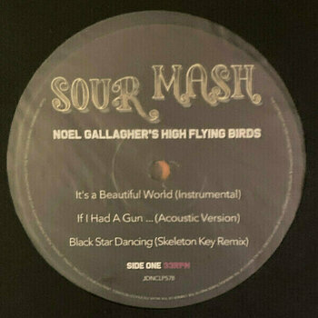 Hanglemez Noel Gallaghers High Flying Birds - Back The Way We Came Vol. 1 (Box Set) (4 LP + 7" Vinyl + 3 CD) - 3