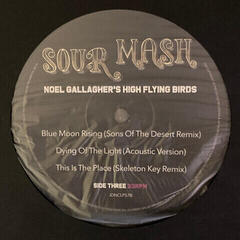 Hanglemez Noel Gallaghers High Flying Birds - Back The Way We Came Vol. 1 (Box Set) (4 LP + 7" Vinyl + 3 CD) - 4