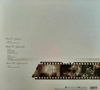 Δίσκος LP Pain Of Salvation - 125 (Reissue 2021) (Gatefold) (2 LP + CD) - 2
