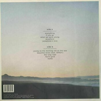 Vinyl Record Passenger - Young As The Morning Old As The Sea (LP) - 4