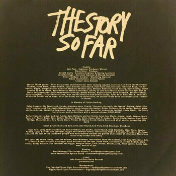 Hanglemez The Story So Far - What You Dont See (LP) - 2