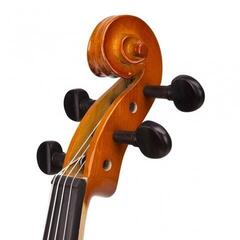 Viola Valencia VA400-15.5 Viola - 2