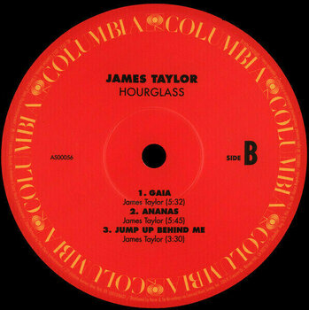 Hanglemez James Taylor - Hourglass (180g) (2 LP) - 3