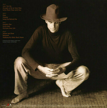 Hanglemez James Taylor - Hourglass (180g) (2 LP) - 6