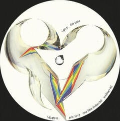 Schallplatte Björk - The Gate (12" Vinyl) - 1