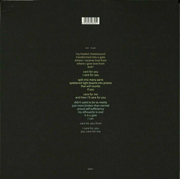 Disque vinyle Björk - The Gate (12" LP) - 4