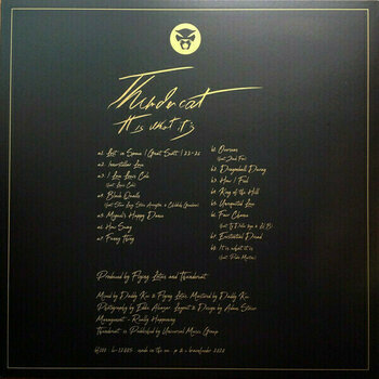 Hanglemez Thundercat - It Is What It Is (LP) - 2