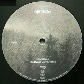 Vinyl Record Satyricon - Dark Medieval Times (Limited Edition) (2 LP) - 2