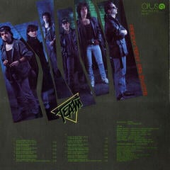 Disc de vinil Team - Prichytený pri živote (180g) (LP) - 2