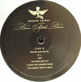 Hanglemez Amanda Shires - Down Fell Doves (LP) - 3