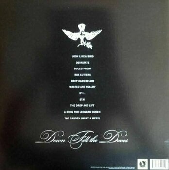Hanglemez Amanda Shires - Down Fell Doves (LP) - 4