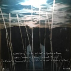LP Courtney Marie Andrews - Old Flowers (LP) - 1