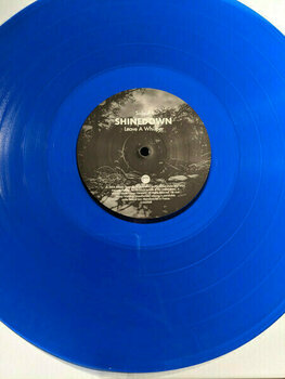 Vinyl Record Shinedown - Leave a Whisper (2 LP) - 2