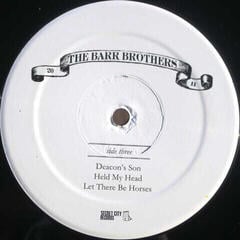 LP plošča The Barr Brothers - Barr Brothers (2 LP) - 3