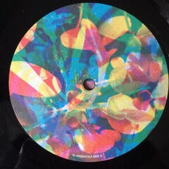 Vinüülplaat Caribou - Our Love (180 g) (LP) - 2