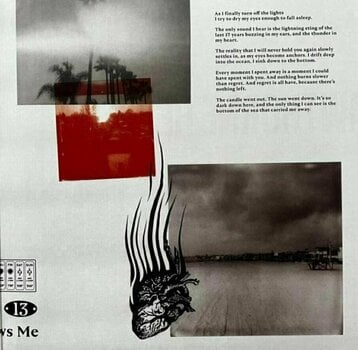 Vinyl Record Hawthorne Heights - The Rain Just Follows Me (LP) - 2