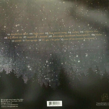 Vinyl Record Gregory Alan Isakov - This Empty Northen Hemisphere (LP) - 3