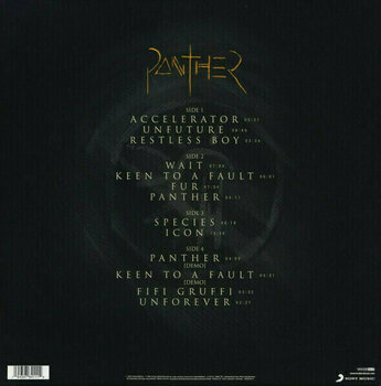 Vinyl Record Pain Of Salvation - Panther (Black Vinyl) (Gatefold) (2 LP + CD) - 6