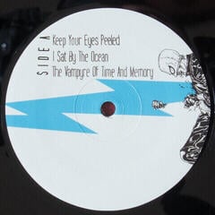 Płyta winylowa Queens Of The Stone Age - ...Like Clockwork (2 LP) - 2