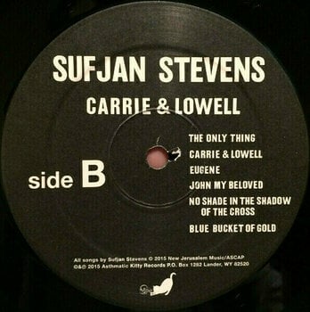 Schallplatte Sufjan Stevens - Carrie & Lowell (LP) - 3