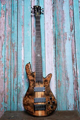 5 strunska bas kitara Spector NS Ethos 5 Super Faded Black 5 strunska bas kitara - 3