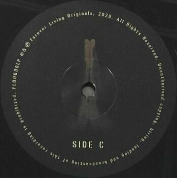 Disc de vinil Sault - Untitled (Rise) (2 LP) - 4